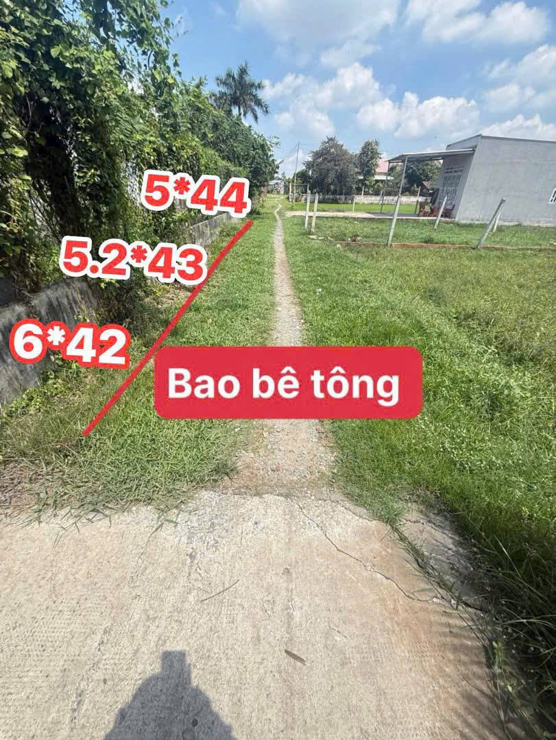 Bán 3 lô thổ cư liền kề / đường Xóm Gò,  Đức Lập Hạ đường oto (bao đường beton) giá 1 tỷ- 1,190 tỷ 3