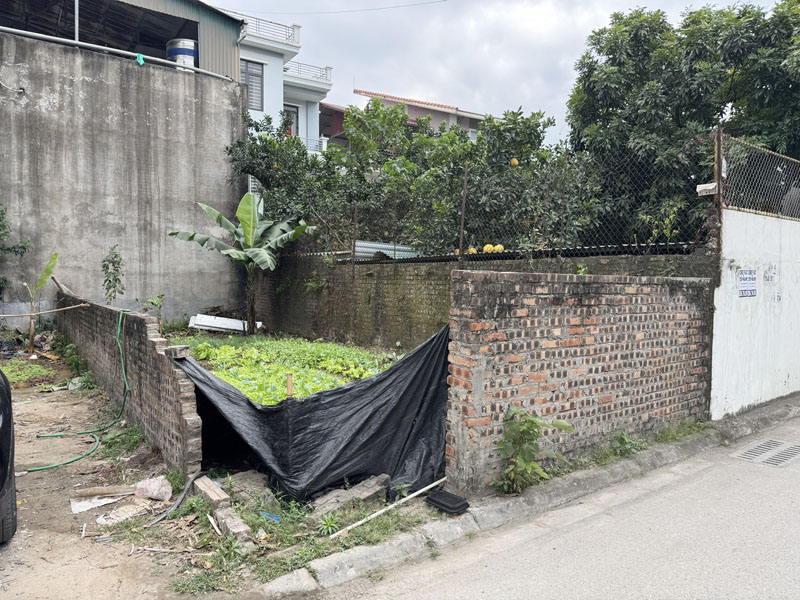 Bán Đất Lô Góc Mặt Đường Đông Dư 46,6m2, Mặt Đường 5m Ô Tô Tránh, Cách Cầu Thanh Trì 500m 4