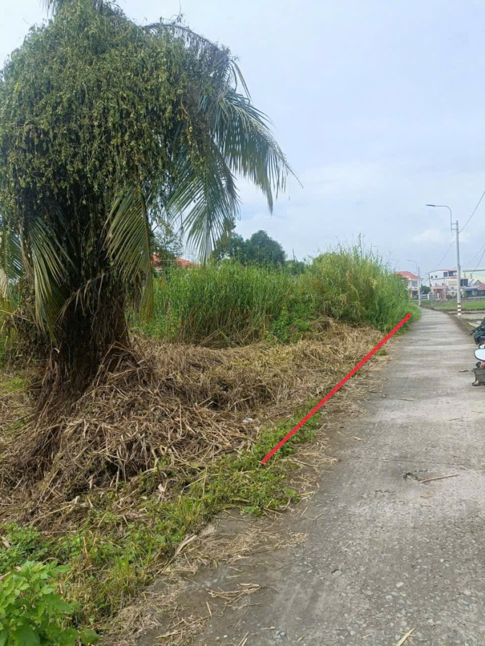 Bán đất trung tâm thị trấn Tân Trụ dt 800m2 ( 400m2  thổ) đường oto beton giá 2,7 tỷ 4