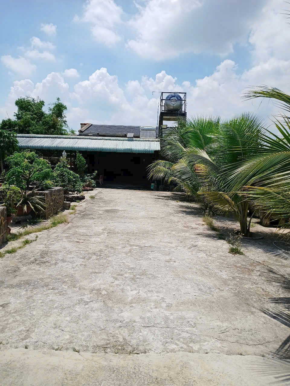 Bán nhà vườn thị trấn Hậu Nghĩa tdt 875m2 ( 200m2 thổ ) giá 6,8 tỷ 6