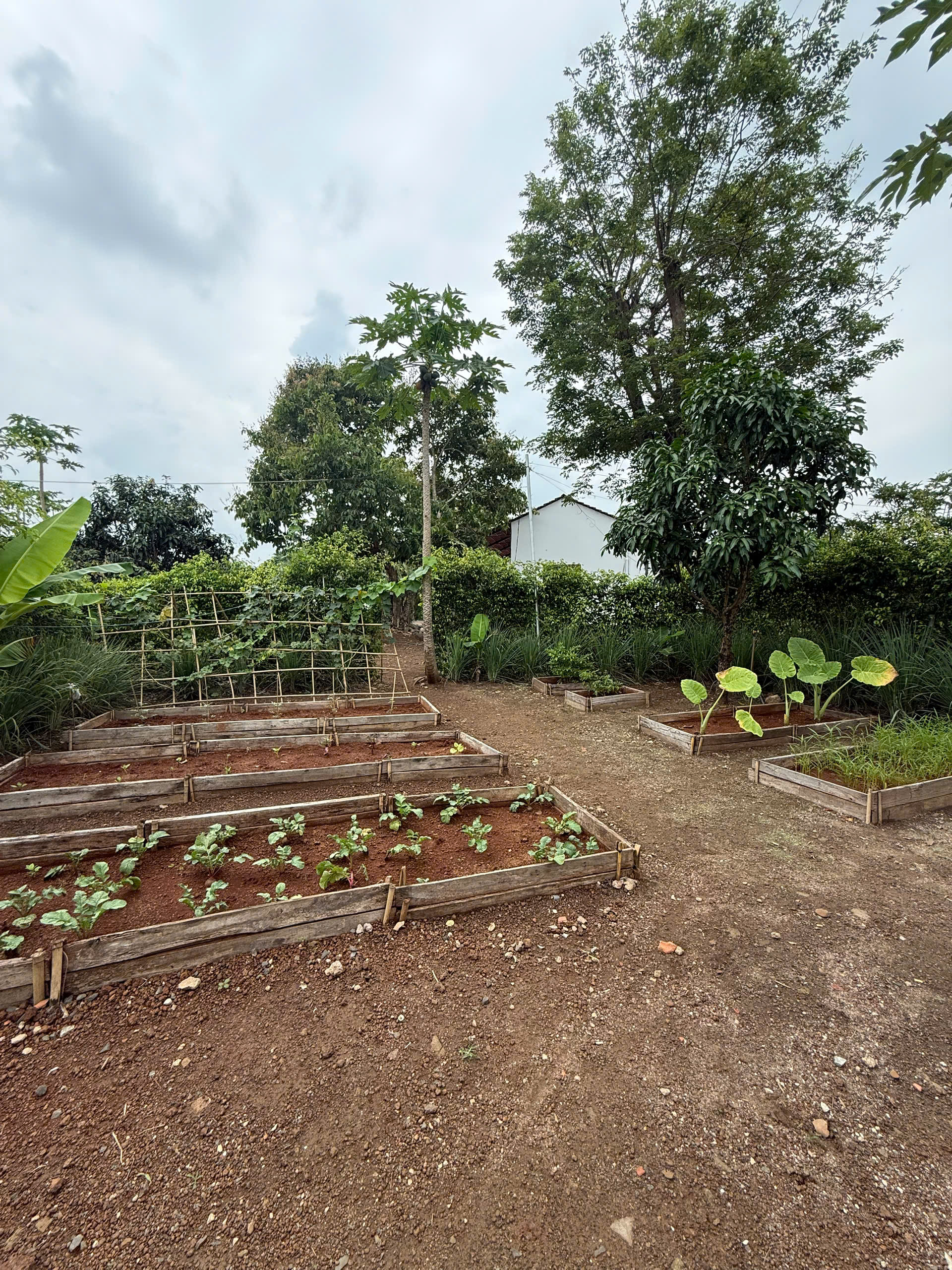 GREENERY HOUSE BÀ RỊA – CƠ HỘI SỞ HỮU NHÀ VƯỜN NGHỈ DƯỠNG CHỈ TỪ 3 TỶ ĐỒNG/LÔ 6