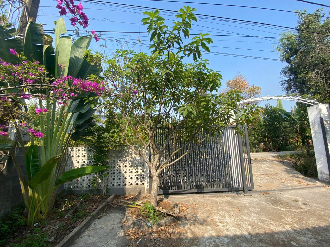 Bán nhà mái thái sân vườn xã Lương Bình, dt 500m2 full thổ , đường oto beton giá 4,5 tỷ 7