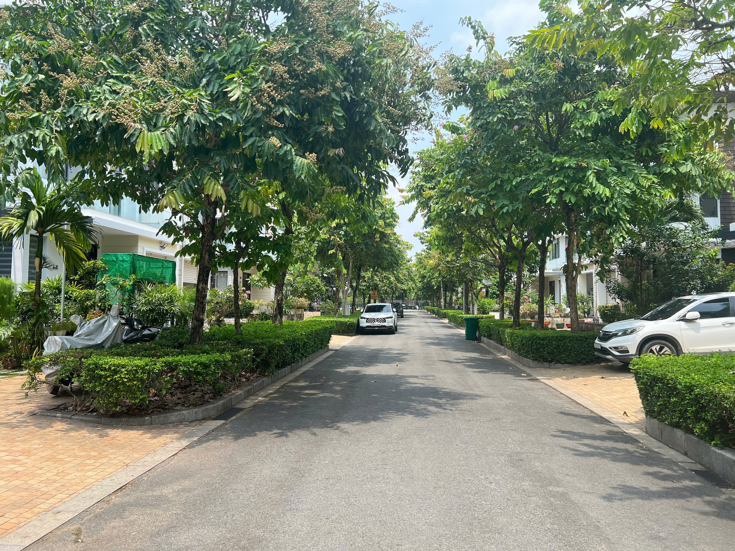 Cần bán Biệt thự Phường Tân Quy, Quận 7, Diện tích 240m², Giá 52 Tỷ