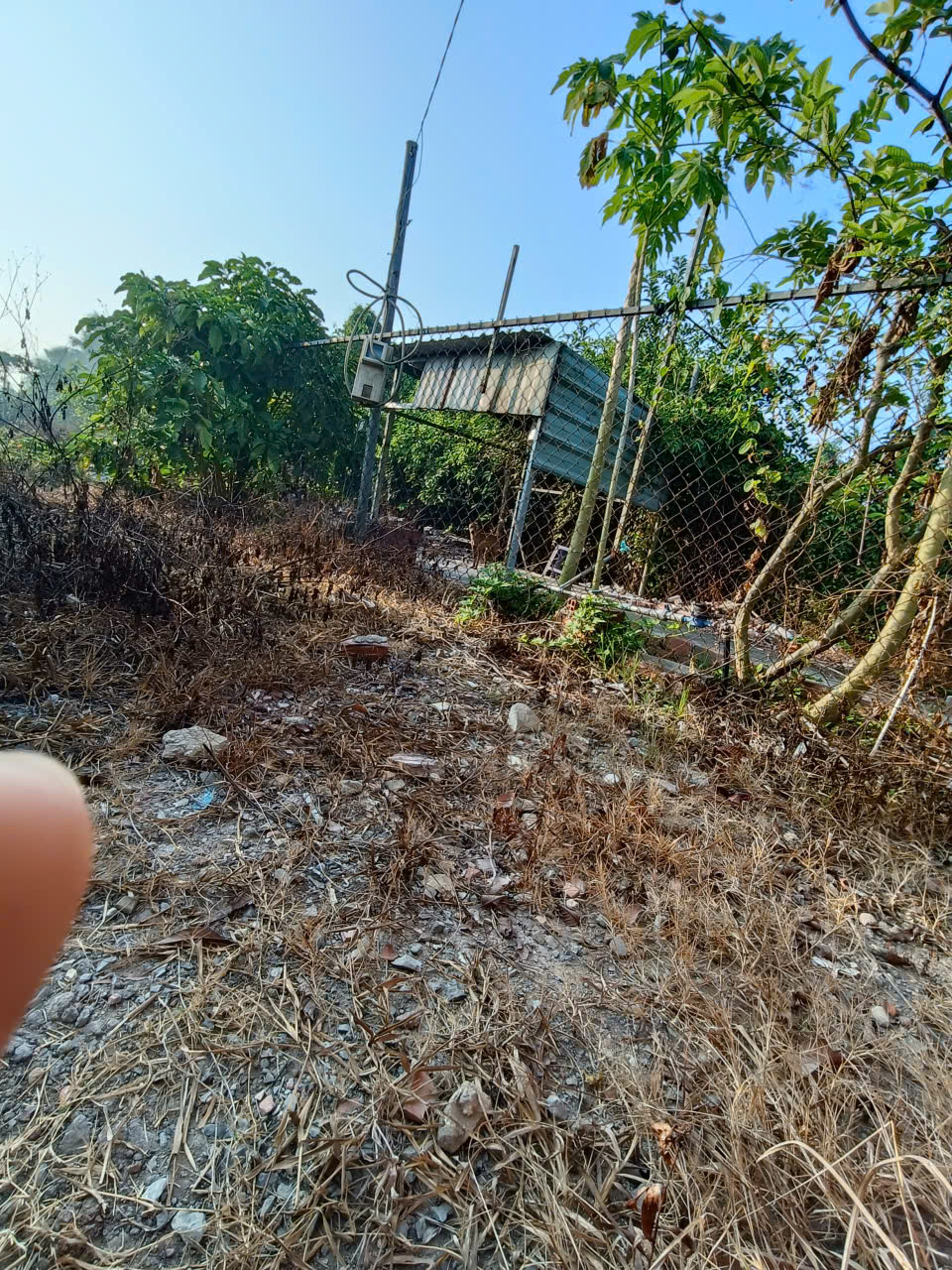 Bán đất hẻm đường An Hạ, xã Phạm Văn Hai, dt 500m2 ( 146m2 thổ) giá 4,8 tỷ 5