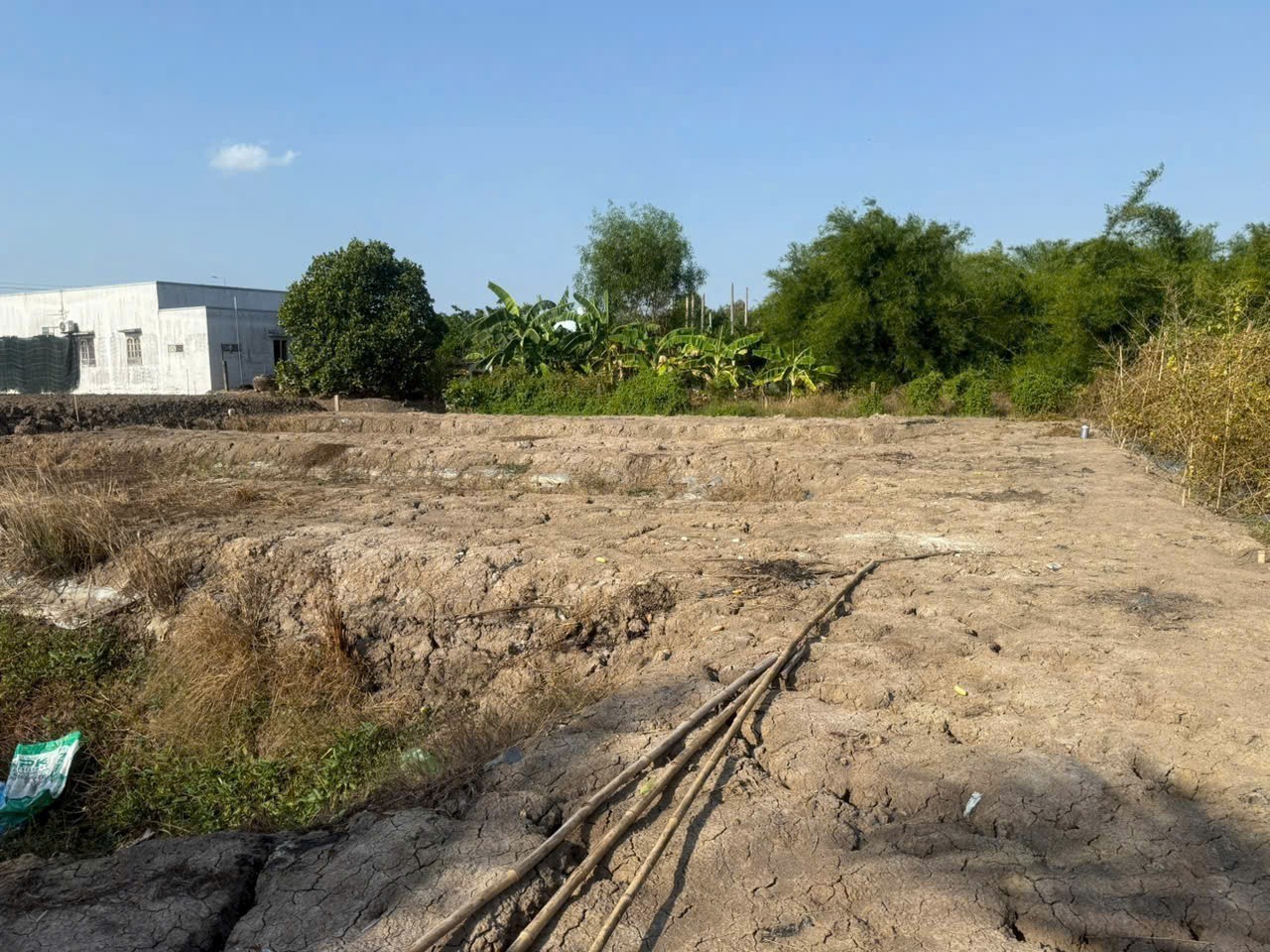 Bán đất mặt tiền tỉnh lộ 833B, xã Lạc Tấn, Tân Trụ , Long An tdt 839m2 ( 120m2 thổ) giá 1,85 tỷ 2