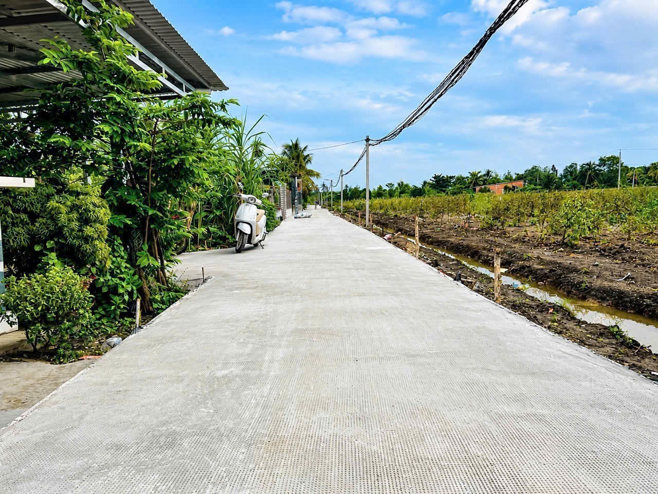 Bán 3 lô đất vườn liền kề đường beton oto xã Thạnh Lợi , Bến Lức dt 550m2 giá 790 triệu / lô