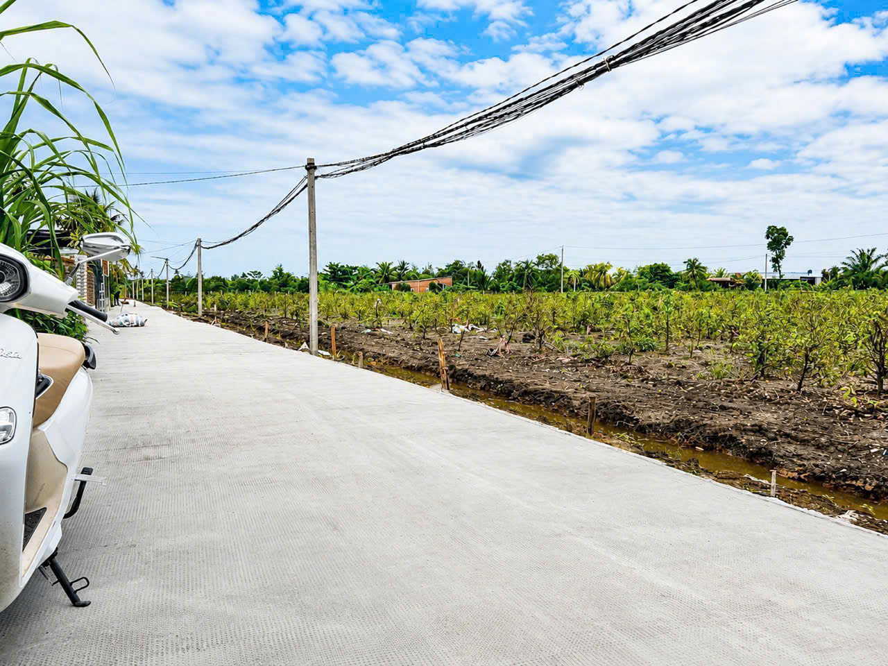 Bán 3 lô đất vườn liền kề đường beton oto xã Thạnh Lợi , Bến Lức dt 550m2 giá 790 triệu / lô 2