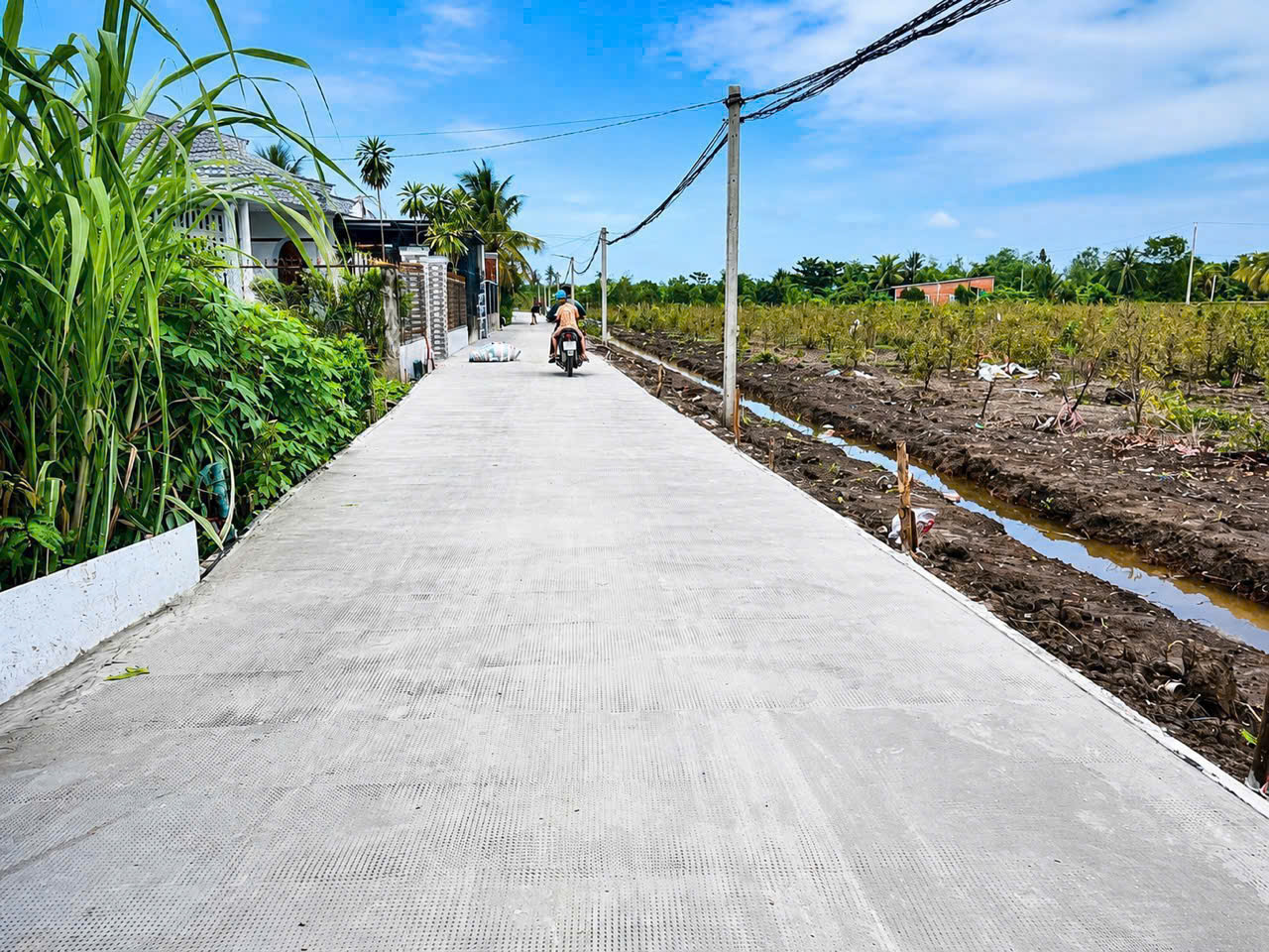 Bán 3 lô đất vườn liền kề đường beton oto xã Thạnh Lợi , Bến Lức dt 550m2 giá 790 triệu / lô 4
