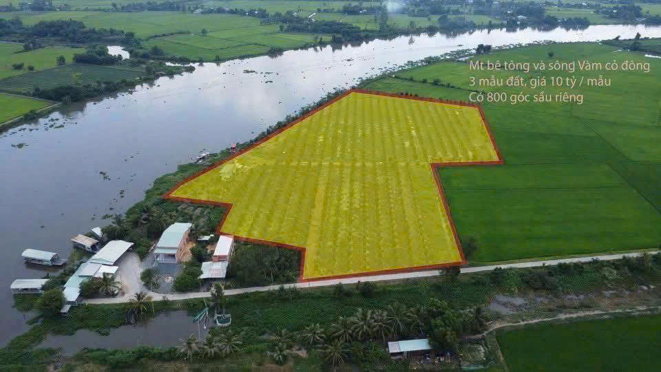 Bán vườn sầu riêng mt sông Vàm Cỏ Đông , xã An Ninh Tây, Đức Hòa tdt 3 mẫu ( 30.000m2) giá 30 tỷ 8