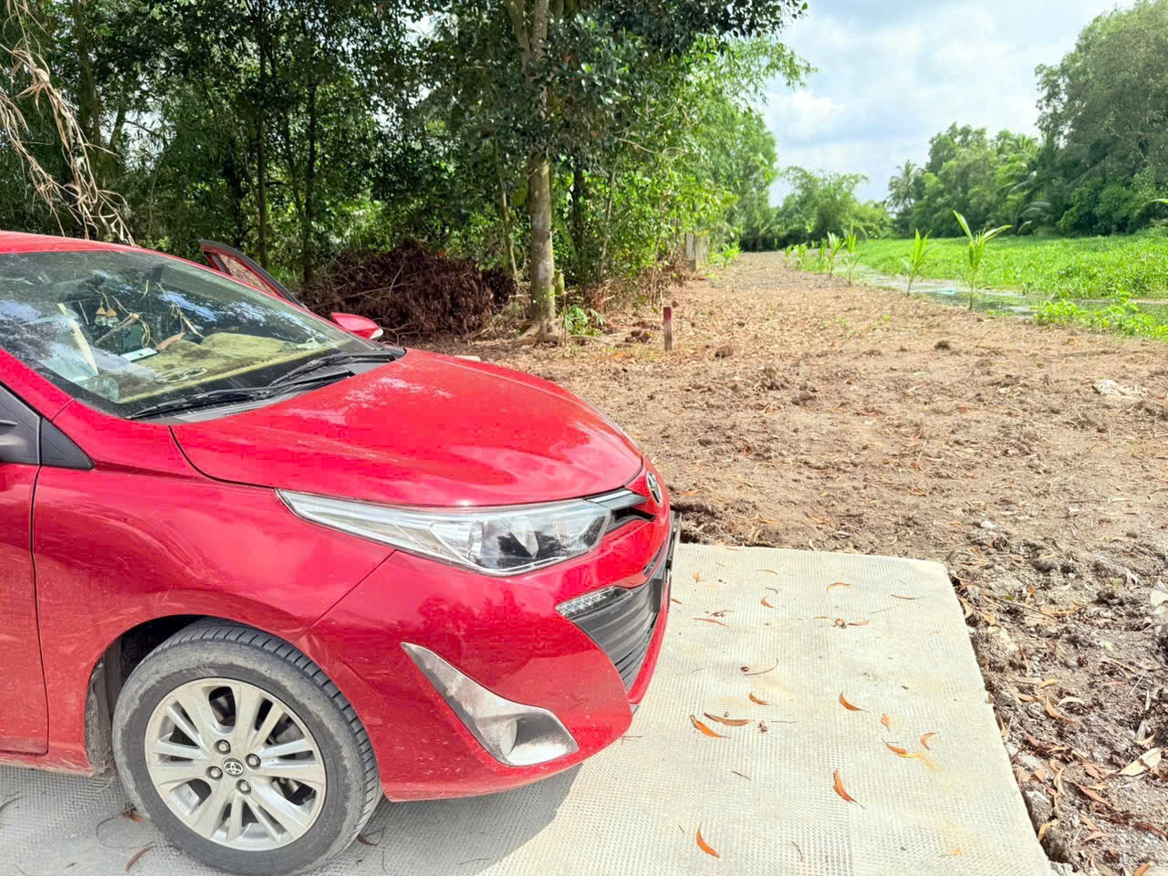 Bán đất vườn đường beton oto view sông cực đẹp xã Nhựt Chánh, Bến Lức dt 1222m2 giá 1,3 tỷ 5