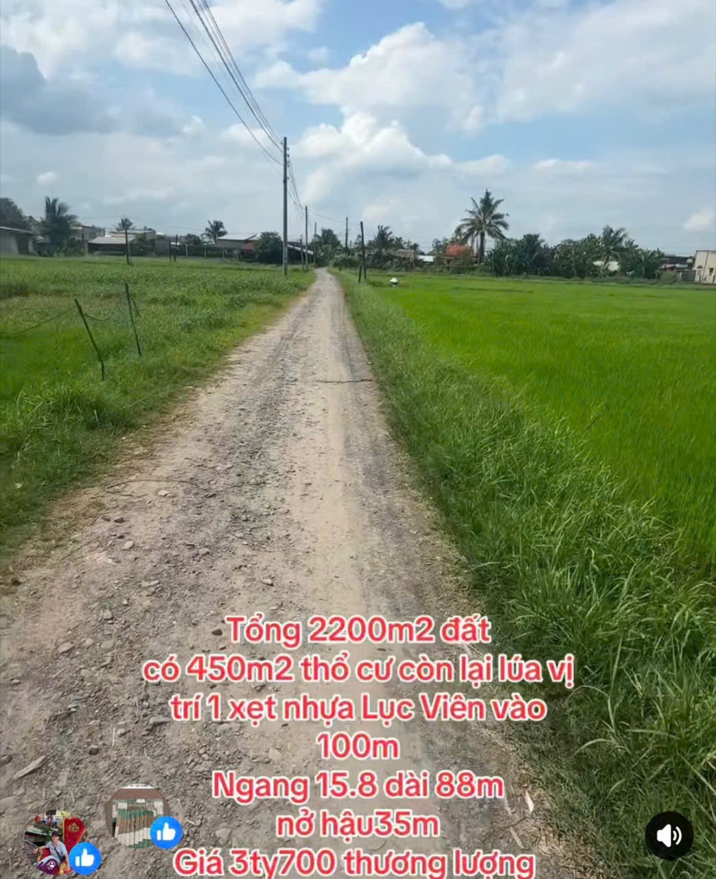 Bán đất thổ + lúa thích hợp xây nhà vườn xã Đức Lập Hạ tdt 2200m2 ( 450m2 thổ) giá 3,7 tỷ 4