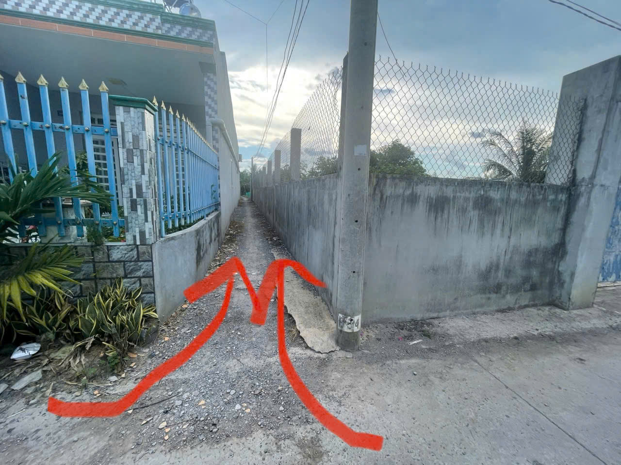 Bán đất lúa hẻm đường xe máy đá xanh xã Phước Vân, Cần Đước dt 2600m2 giá 1,742 tỷ 4