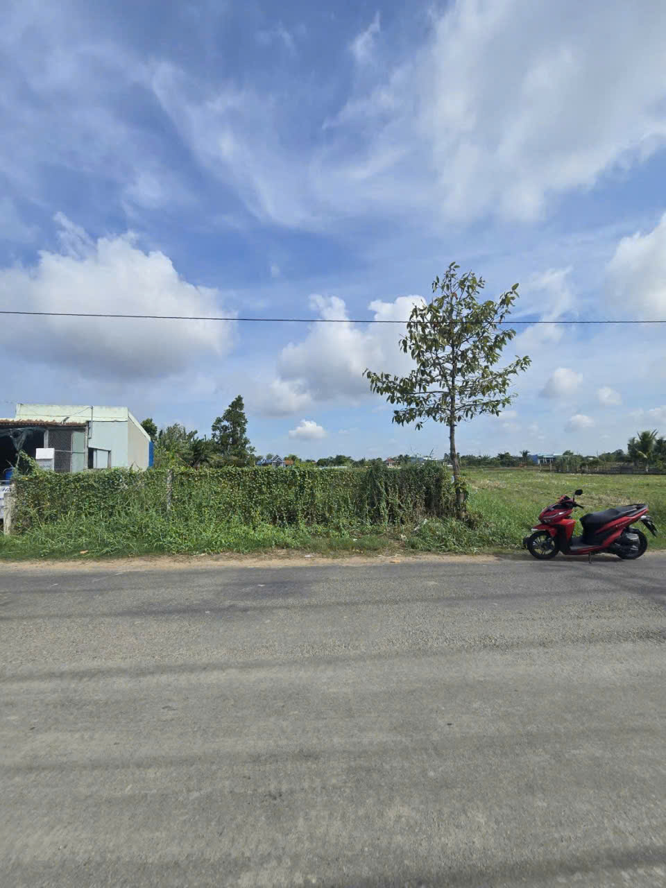 Bán đất 2 mặt tiền đường huyện 19, Tân Trạch, Cần Đước dt 482m2 full thổ giá chốt 3 tỷ 3