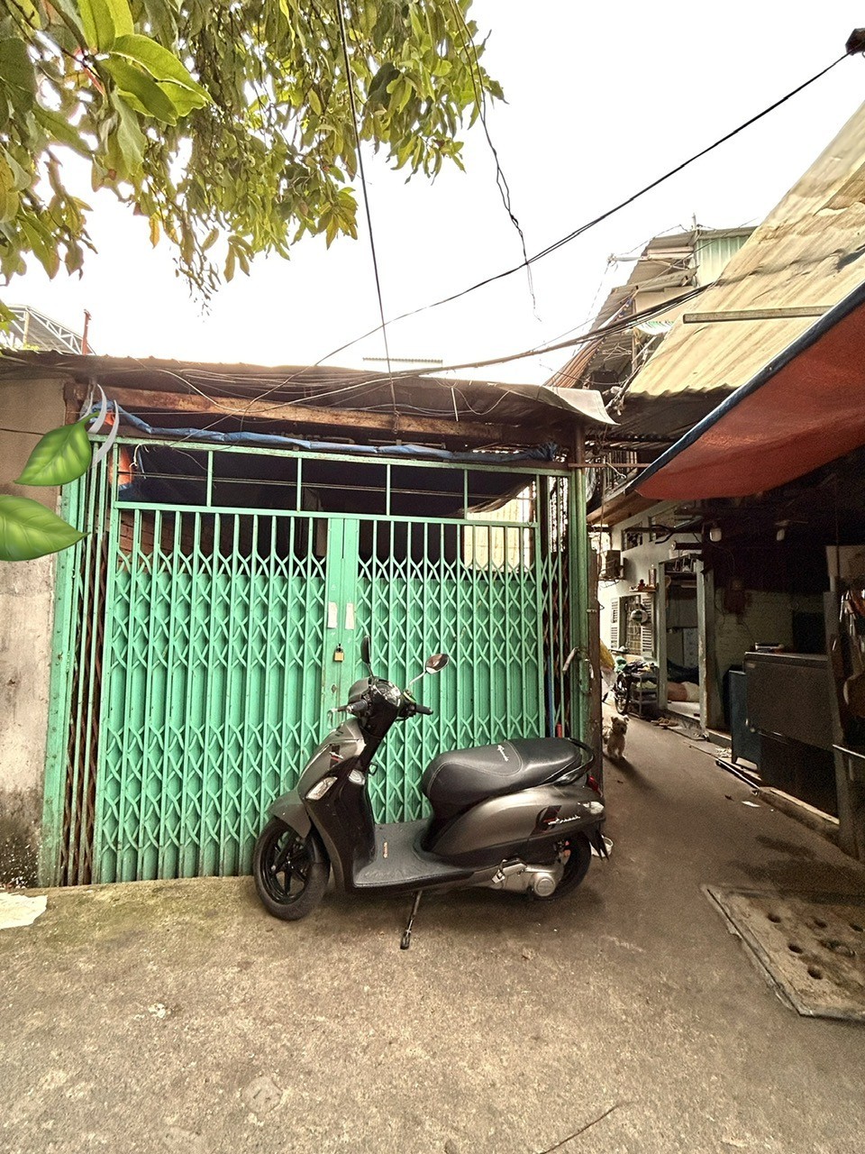 BÁN ĐẤT TẶNG NHÀ DT 114M2- NGANG 7M DÀI 15M- MẶT TIỀN THỤC- XE HƠI ĐẬU CỬA- Đ.TÔN THẤT THUYẾT- LƯU