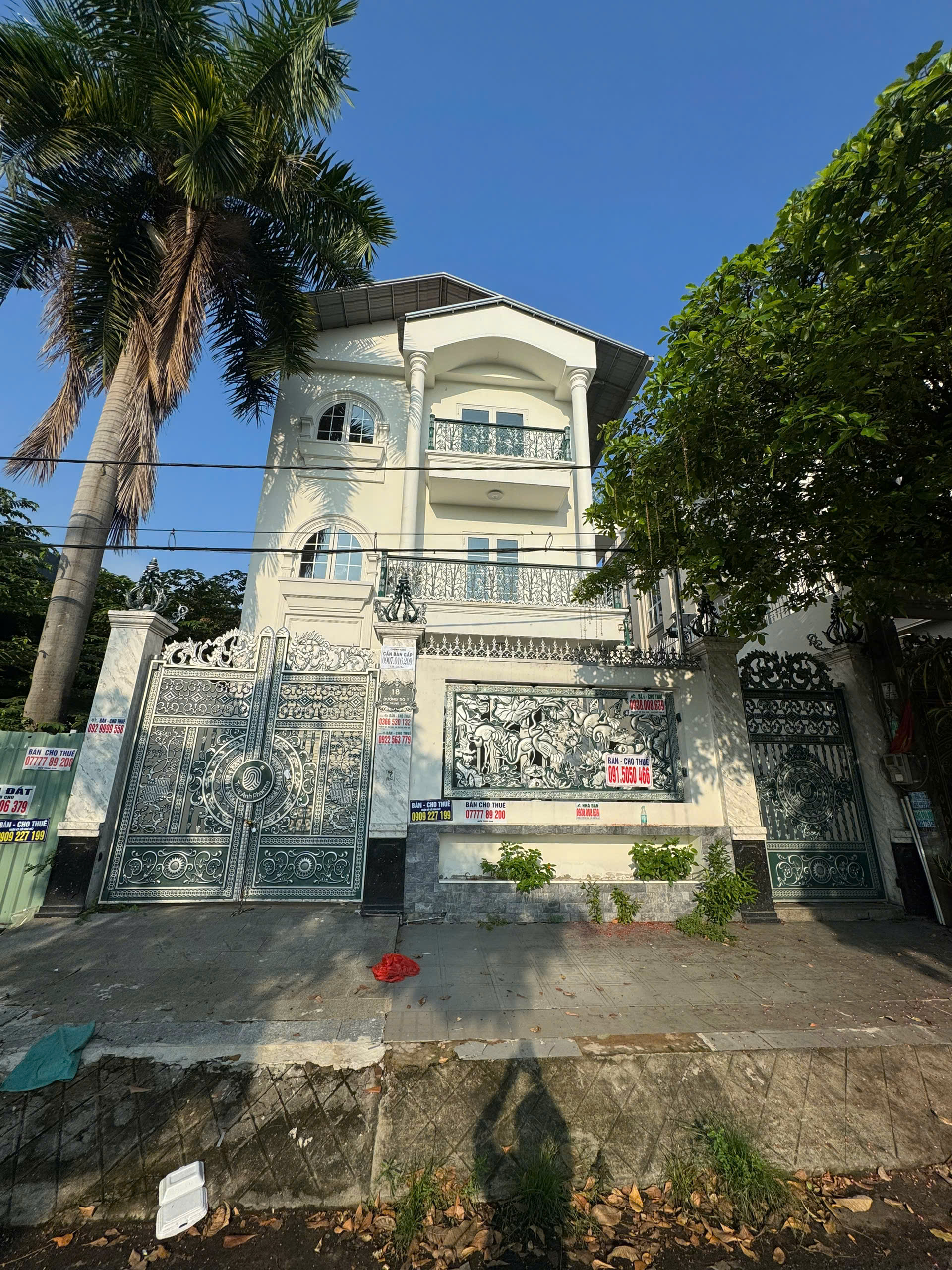 Cần bán Biệt thự Bình Chánh, Hồ Chí Minh, Diện tích 200m², Giá 60 Tỷ 2