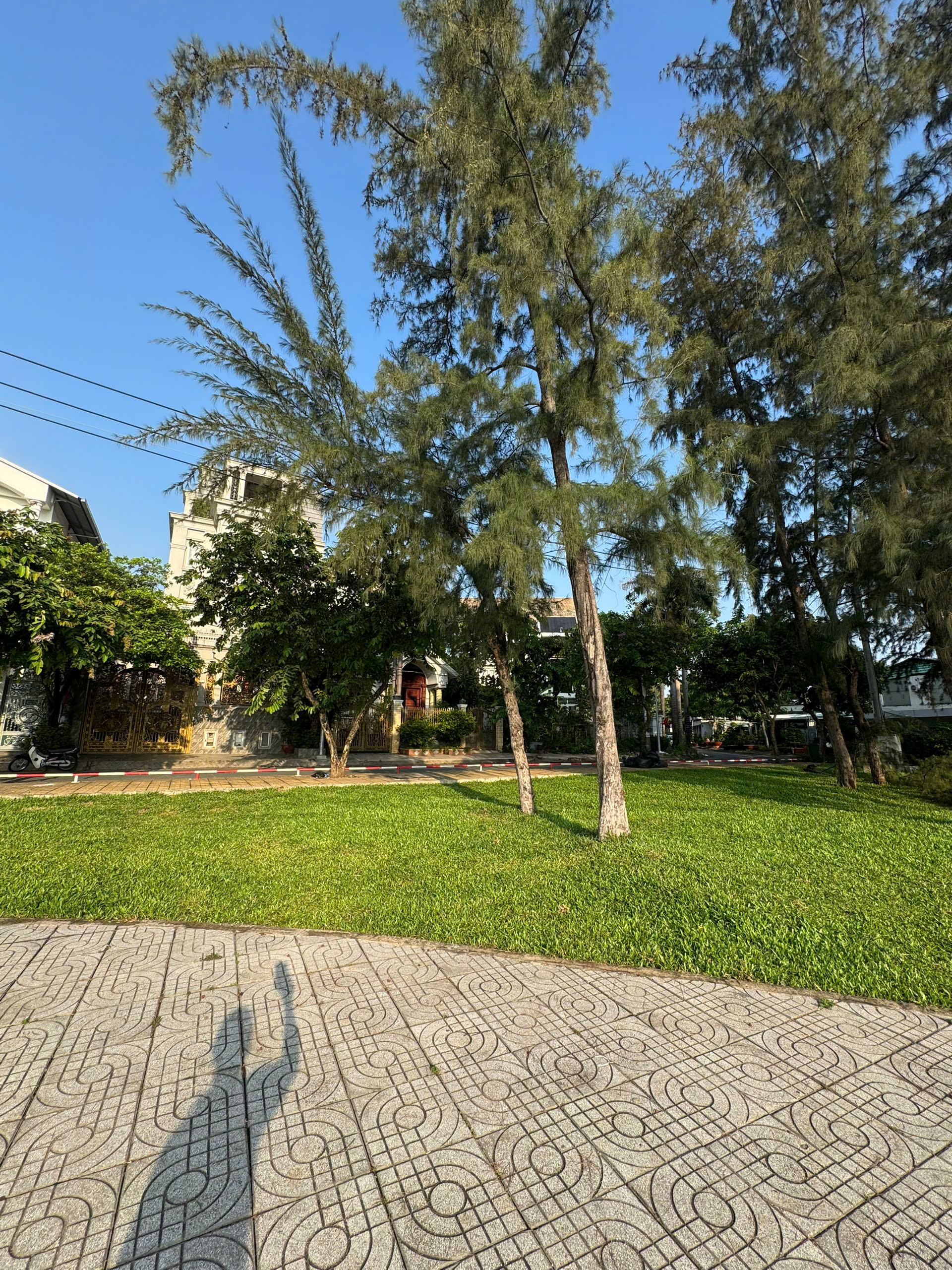 Cần bán Biệt thự Bình Chánh, Hồ Chí Minh, Diện tích 200m², Giá 60 Tỷ 9