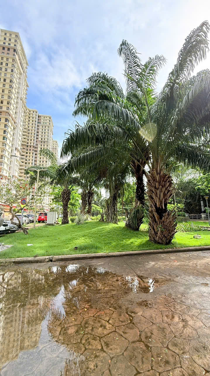 Cần bán Đất Phường Phú Mỹ, Quận 7, Diện tích 133m², Giá 017 Tỷ 2