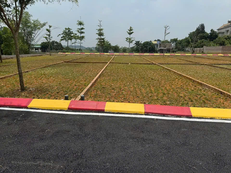 Cần bán Đất đường Hữu Nghị, Phường Xuân Khanh, Diện tích 100m², Giá Thương lượng