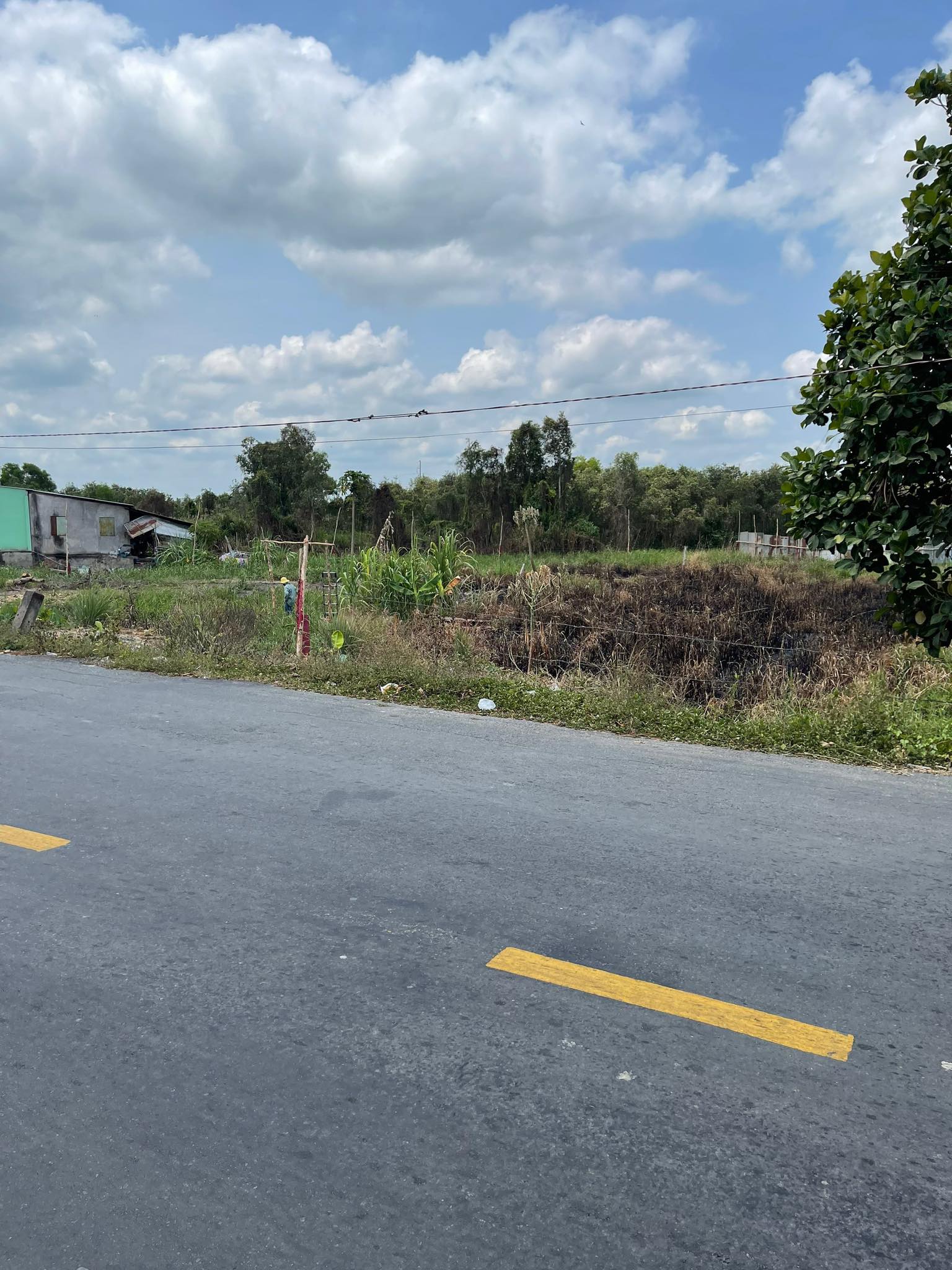 Bán Đất 1696M2 Có 139M2 Thổ,19Mx89M,Mặt Tiền ĐT829 Tân Thạnh Long An Cách tiểu học tân hòa 200m