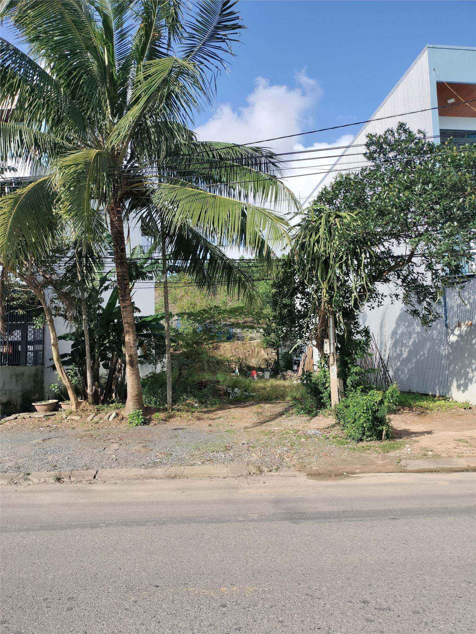 ĐẤT MẶT TIỀN ĐƯỜNG 7M5 – CẨM LỆ – GIÁ CHỈ 3,25 TỶ