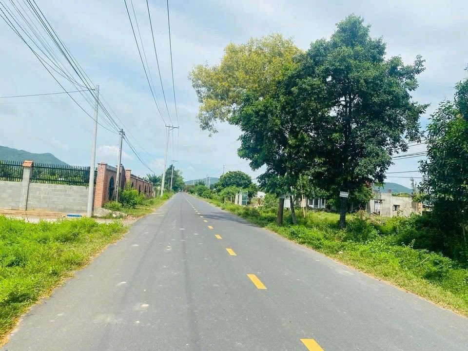 Cần bán Đất đường Tỉnh lộ 44, Thị trấn Phước Hải, Diện tích 113m², Giá 970 Triệu 2