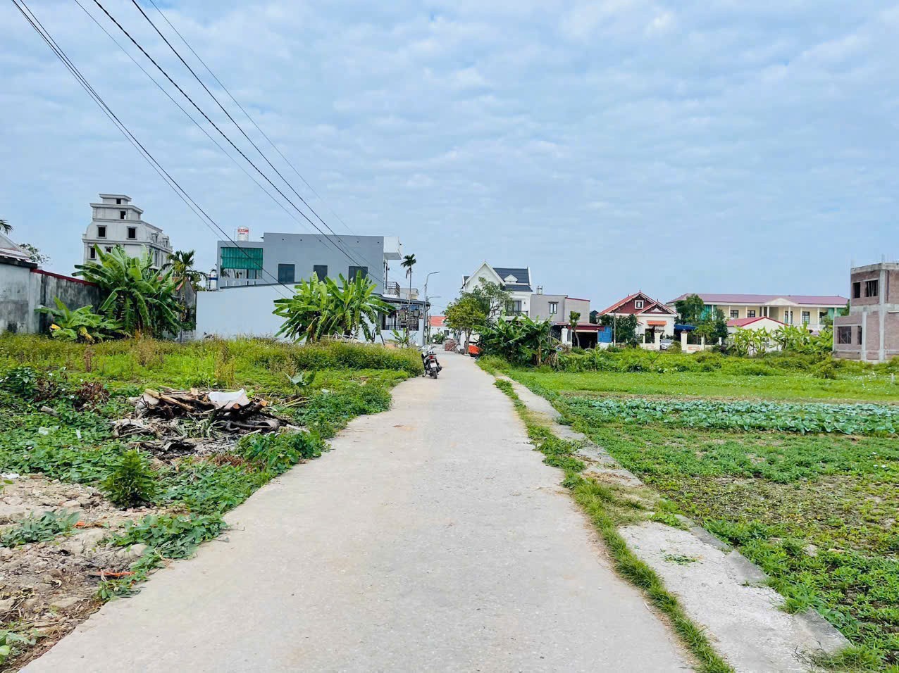 Giá chỉ 1.5x tỷ  Lô đất Cẩm Hoàn – ngay khu đấu giá Vườn Cam  Ngõ thông rộng  ZALO 0567 222 555 3