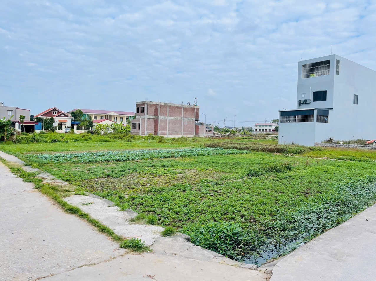 Giá chỉ 1.5x tỷ  Lô đất Cẩm Hoàn – ngay khu đấu giá Vườn Cam  Ngõ thông rộng  ZALO 0567 222 555 4