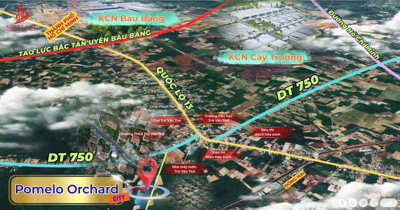 Cần bán Đất đường ĐT 750, Xã Trừ Văn Thố, Diện tích 260m², Giá 250 Triệu 4