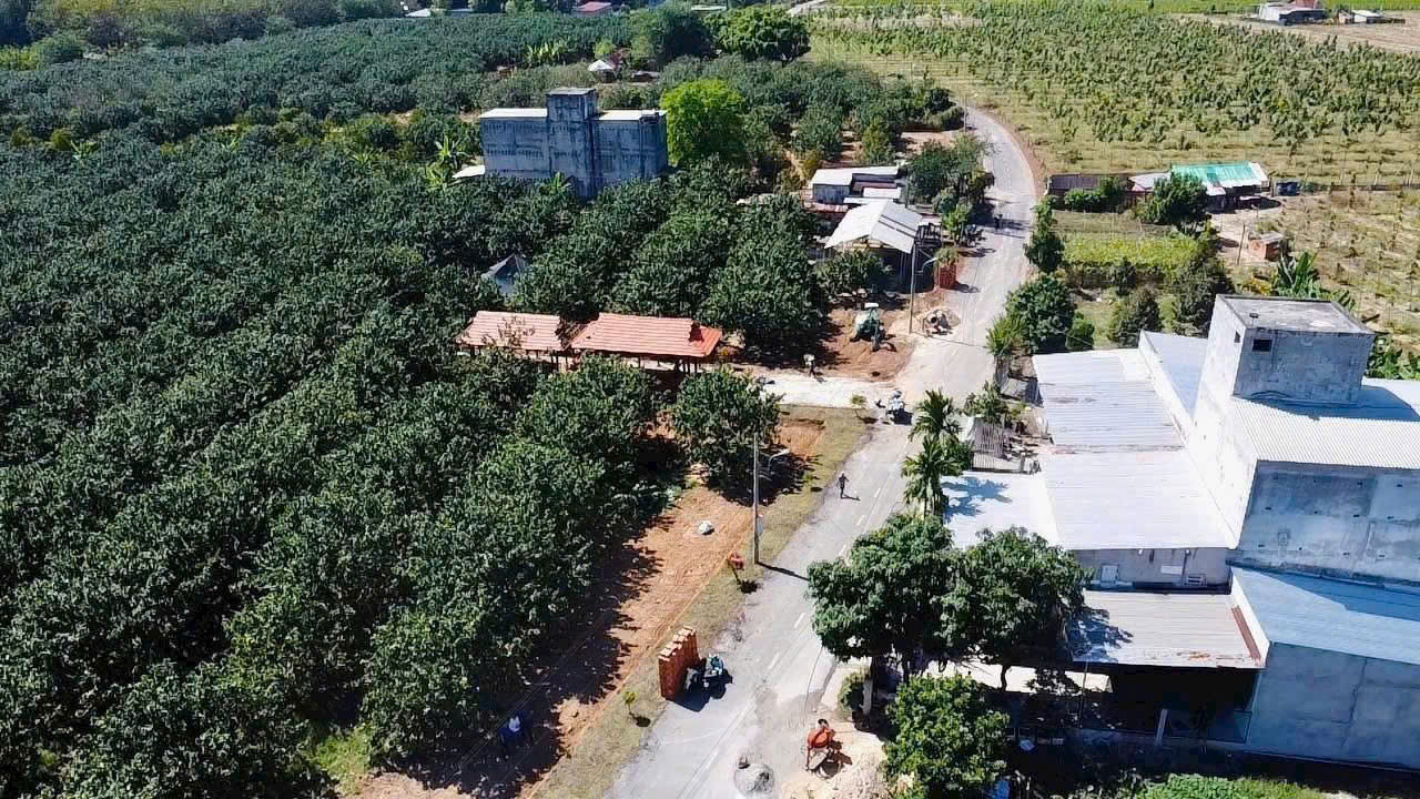 Cần bán Đất đường ĐT 750, Xã Trừ Văn Thố, Diện tích 260m², Giá 970 Triệu 5