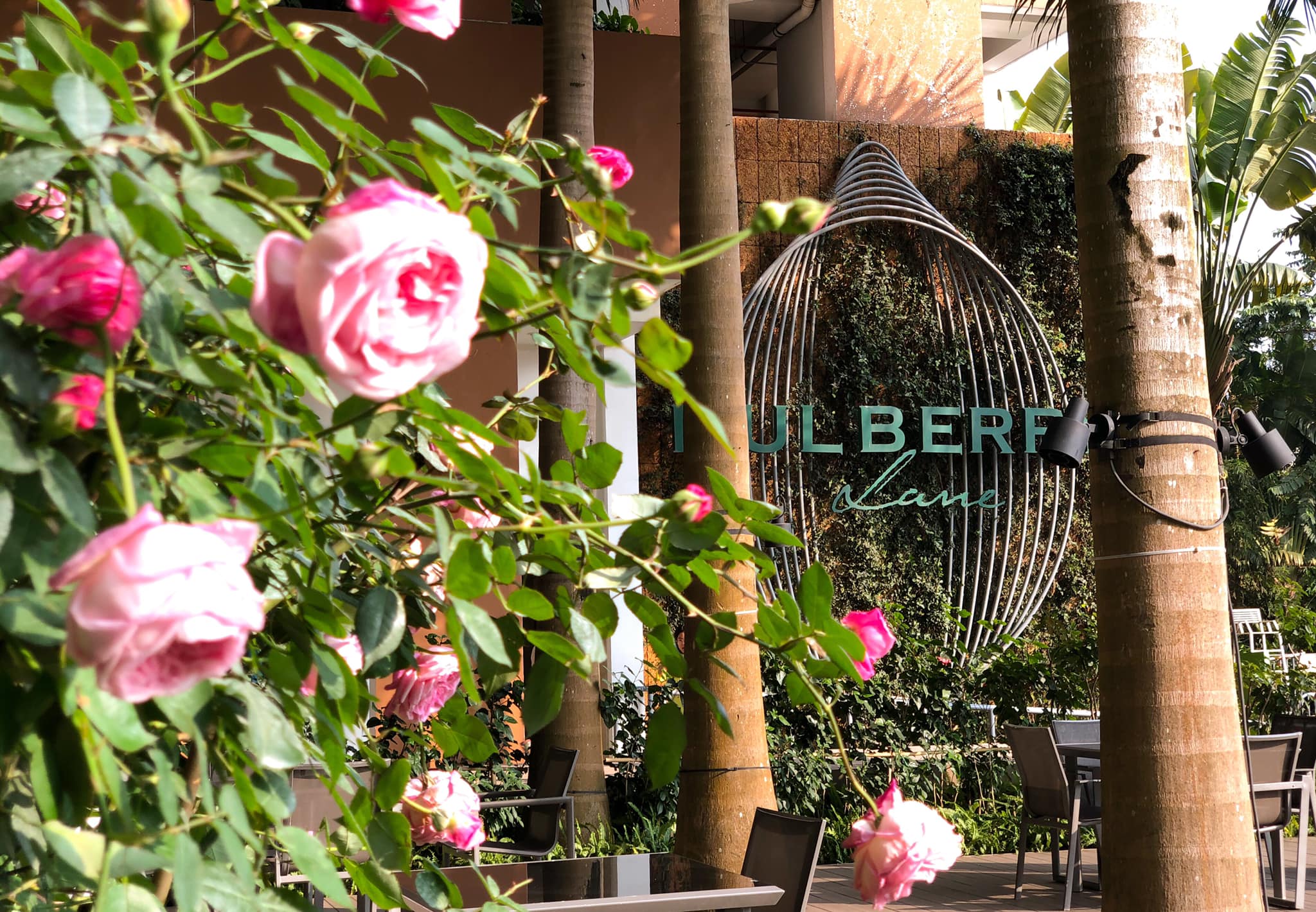 Cần bán căn 3 ngủ MULBERRY LANE - nhà đẹp ban công đông nam 4