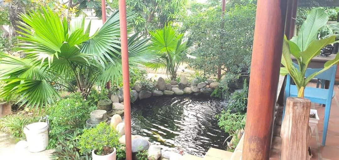 Nhà Vườn Góc Hai Mặt Tiền Đường Tại Nha Trang 4