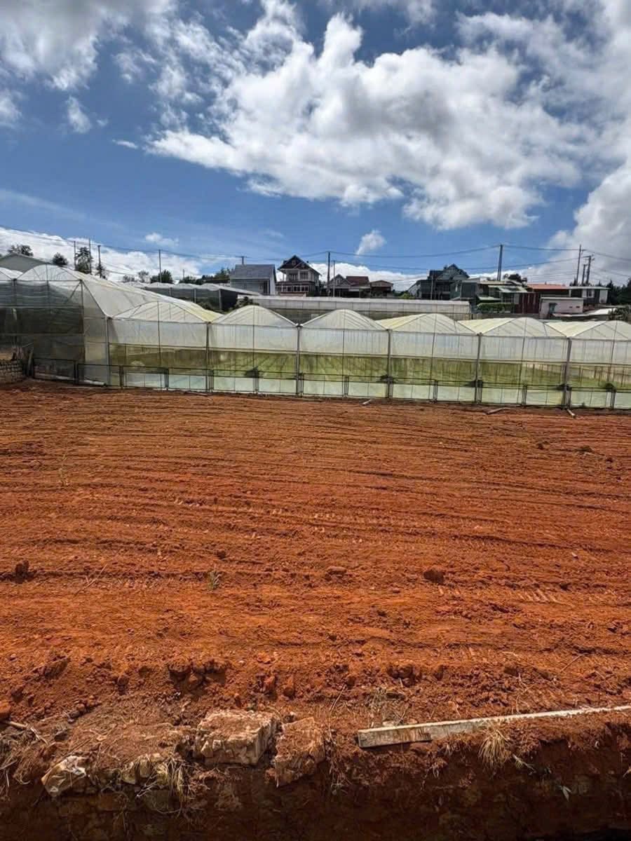 Cần Bán Gấp Lô Đất Biệt Rộng View Đẹp Xuân Thọ, Đà Lạt 1635m2 Giá 14 Tỷ 3