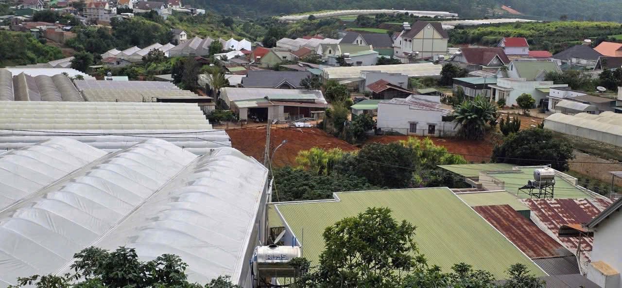 Cần Bán Gấp Lô Đất Biệt Rộng View Đẹp Xuân Thọ, Đà Lạt 1635m2 Giá 14 Tỷ 4