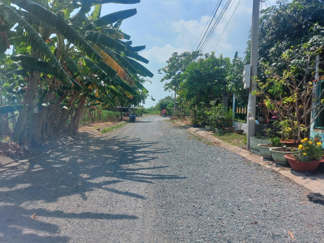 Đất nền giá ngộp 100m2 tdc Phước Đông giá rẻ đầu tư 770tr 2