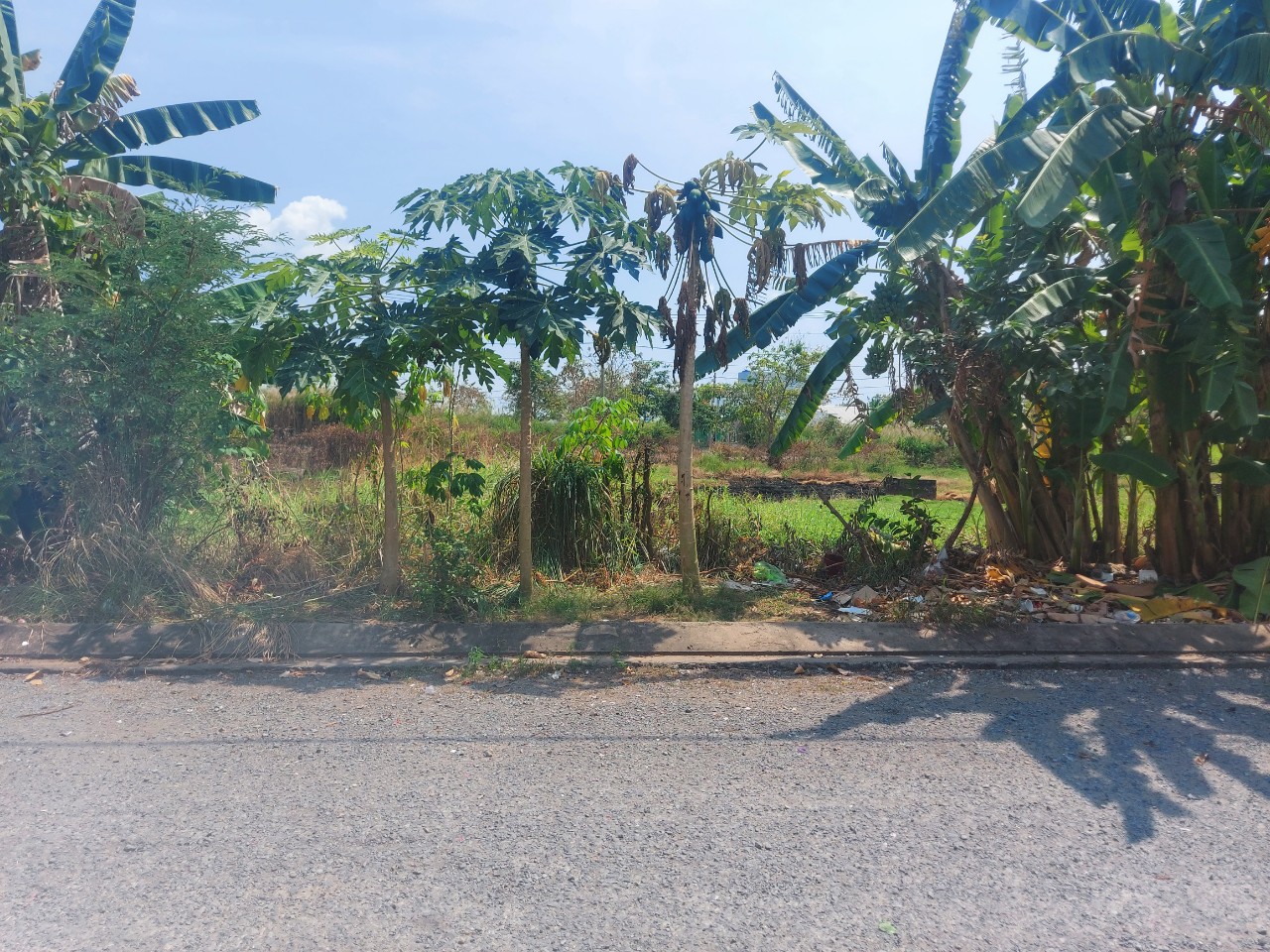 Đất nền giá ngộp 100m2 tdc Phước Đông giá rẻ đầu tư 770tr 3