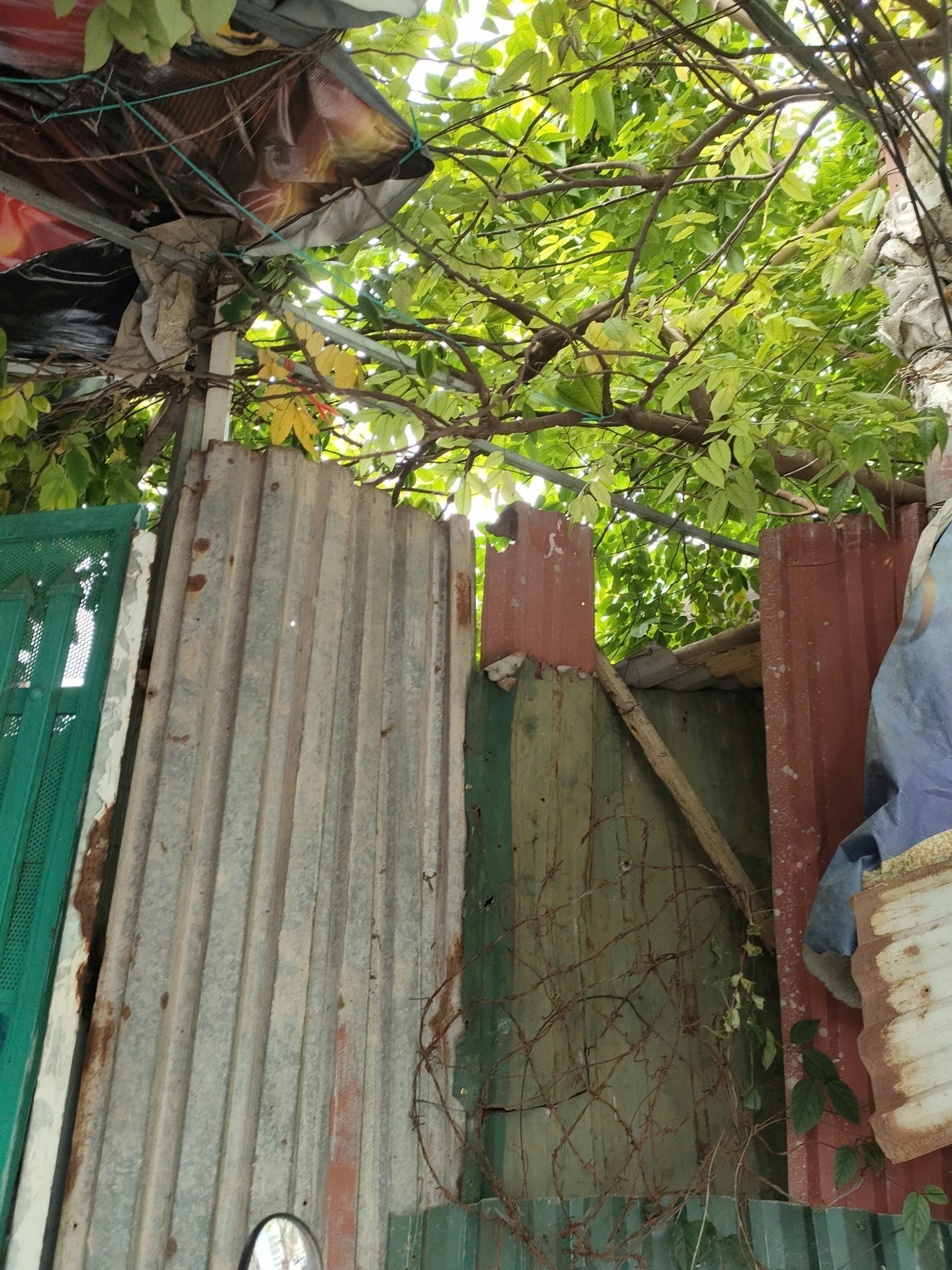 Bán gấp giá rẻ Giải Phóng 63m, cấp 4, mặt tiền 4m, 950 triệu Hoàng Mai. 2