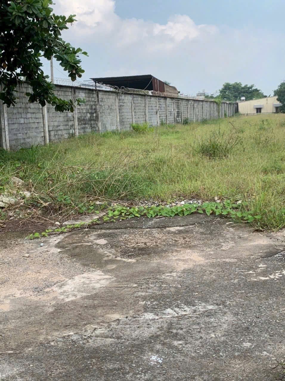 SIÊU PHẨM ĐẤT VIP KHỦNG LONG (39x260) MẶT TIỀN TÔ KÝ – HÓC MÔN 4