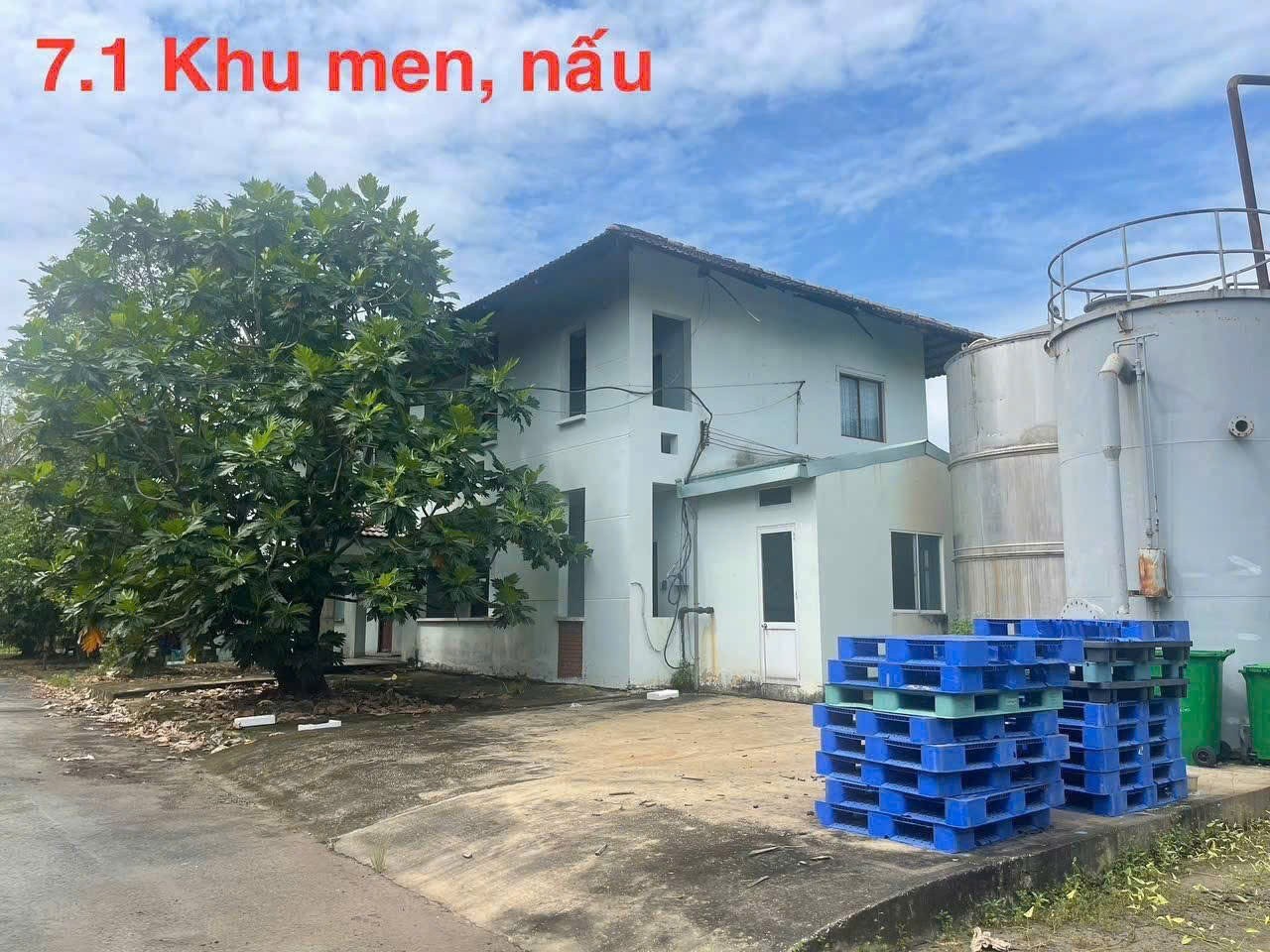 SIÊU XƯỞNG GẦN 2.4HA MẶT TIỀN VÕ VĂN BÍCH – BÌNH MỸ - CỦ CHI 2