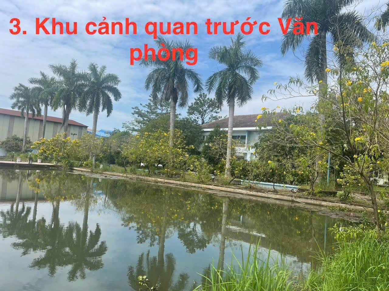 SIÊU XƯỞNG GẦN 2.4HA MẶT TIỀN VÕ VĂN BÍCH – BÌNH MỸ - CỦ CHI 5