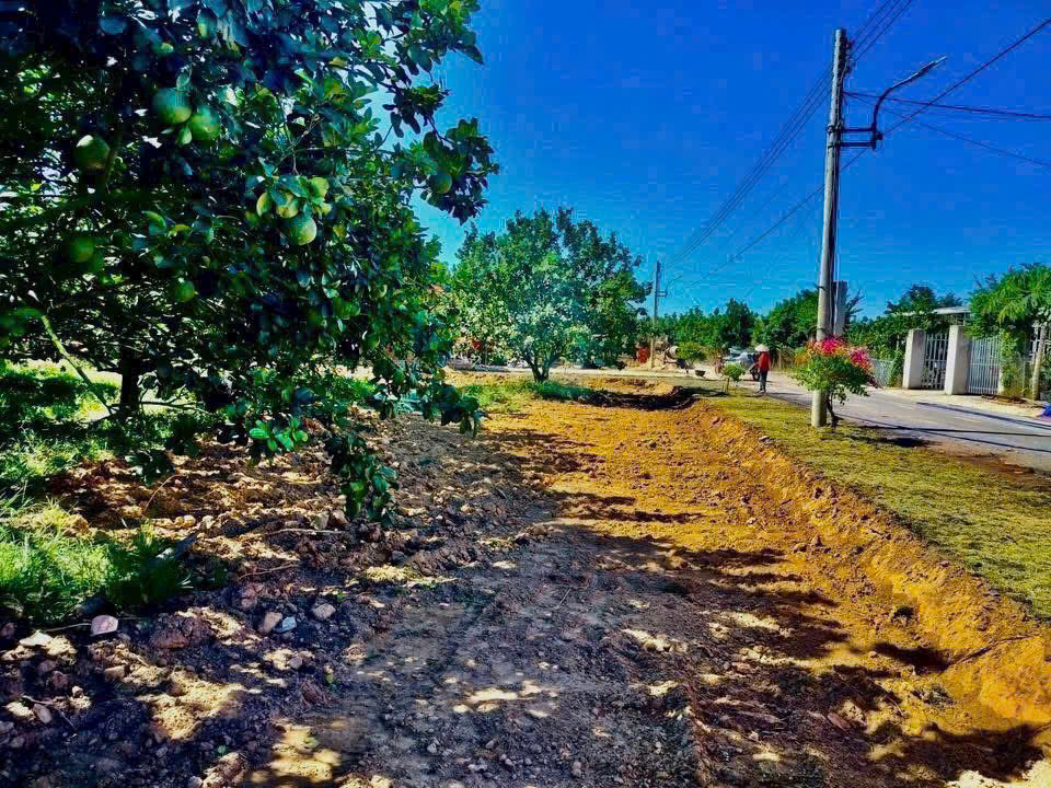 Cần bán Đất đường Trừ Văn Thố, Xã Trừ Văn Thố, Diện tích 2000m², Giá 1.87 Tỷ 7