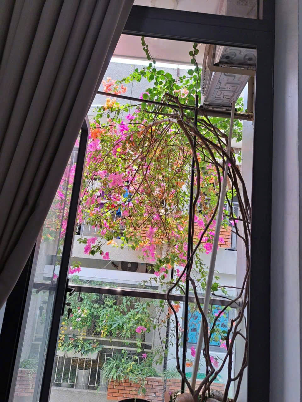 Cho thuê Nhà mặt tiền Phường An Khánh, Quận 2, Diện tích 54m², Giá 35 Triệu/tháng 3