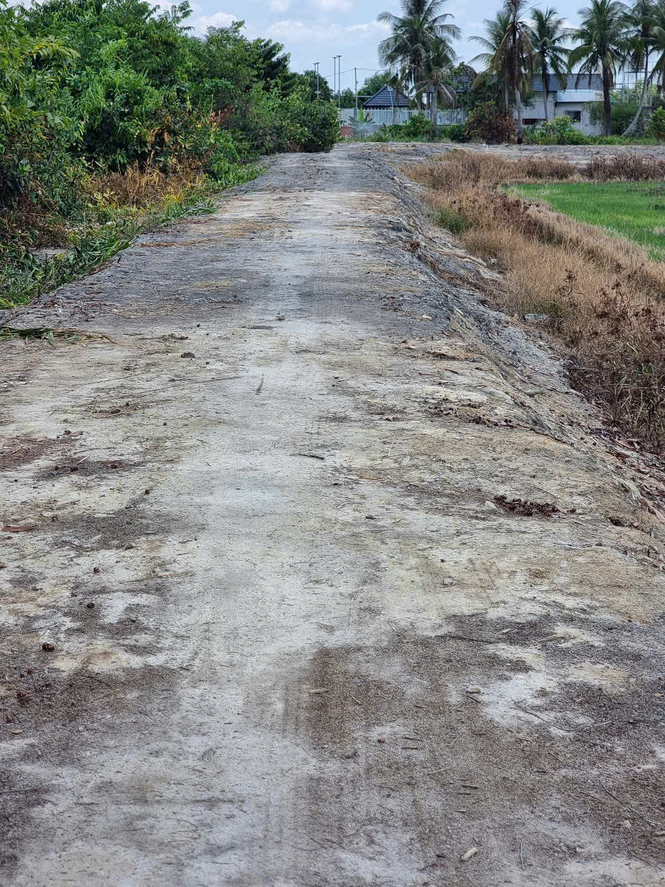 Bán đất mt sông Vàm Cỏ Đông xã Hòa Khánh Nam tdt 9000m2 ( có 185m2 thổ) giá 12,5 tỷ