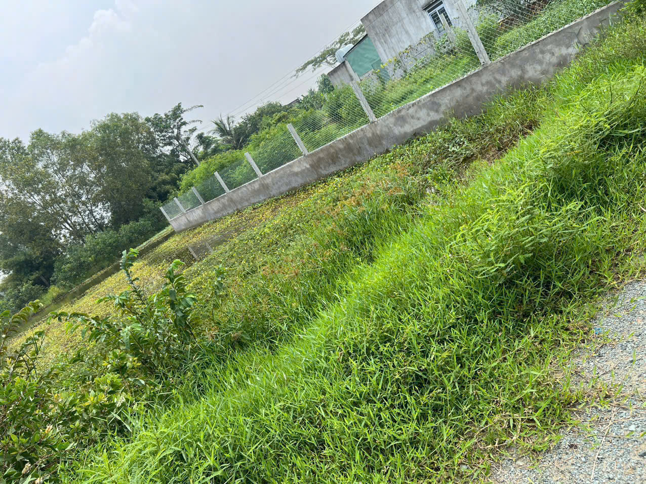 Bán 2 nền thổ cư đường đá xanh 7m , xã Hòa Khánh Tây dt 135m2 giá 700 triệu 1 lô 2