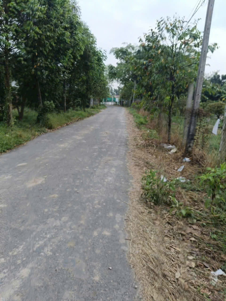 Bán đất thổ cư mặt tiền đường Xóm Tháp, xã Đức Lập Thượng dt 150m2 giá 1,45 tỷ 2