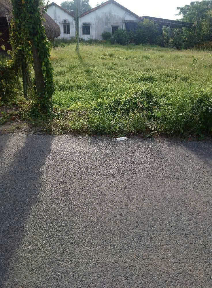 Bán đất thổ cư mặt tiền đường Xóm Tháp, xã Đức Lập Thượng dt 150m2 giá 1,45 tỷ 4