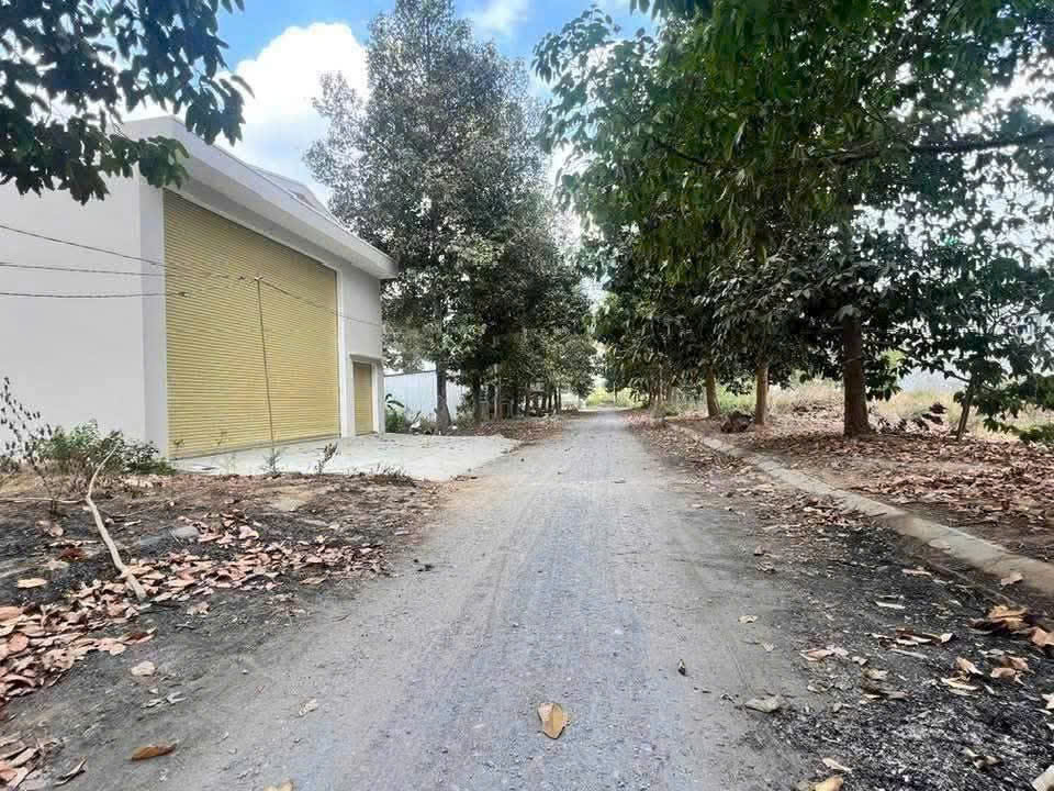 Bán nền thổ cư đường số 7, KDC 135 , thị trấn Bến Lức dt 144m2 giá giảm còn 3 tỷ 2