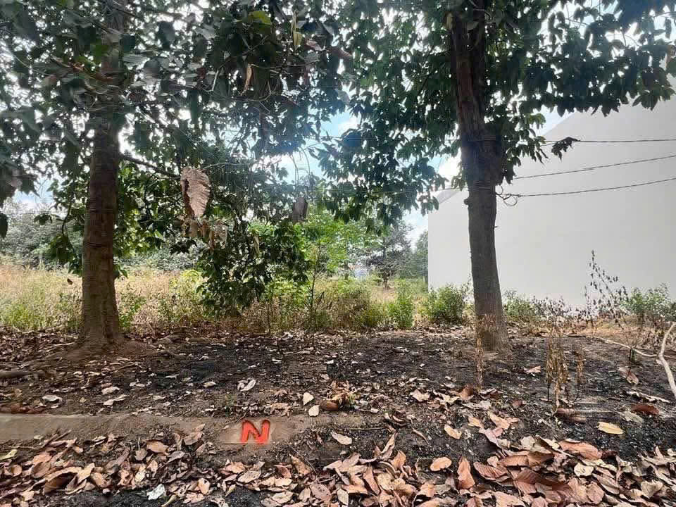 Bán nền thổ cư đường số 7, KDC 135 , thị trấn Bến Lức dt 144m2 giá giảm còn 3 tỷ 3