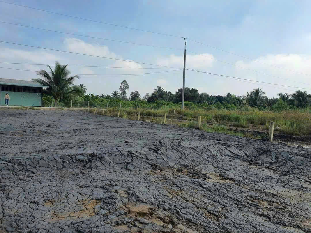 Bán đất thổ vườn Liên Ấp 5/6 , xã Bình Đức , Bến Lức tdt 1376m2 ( có 100m2 thổ) giá 2,65 tỷ 3