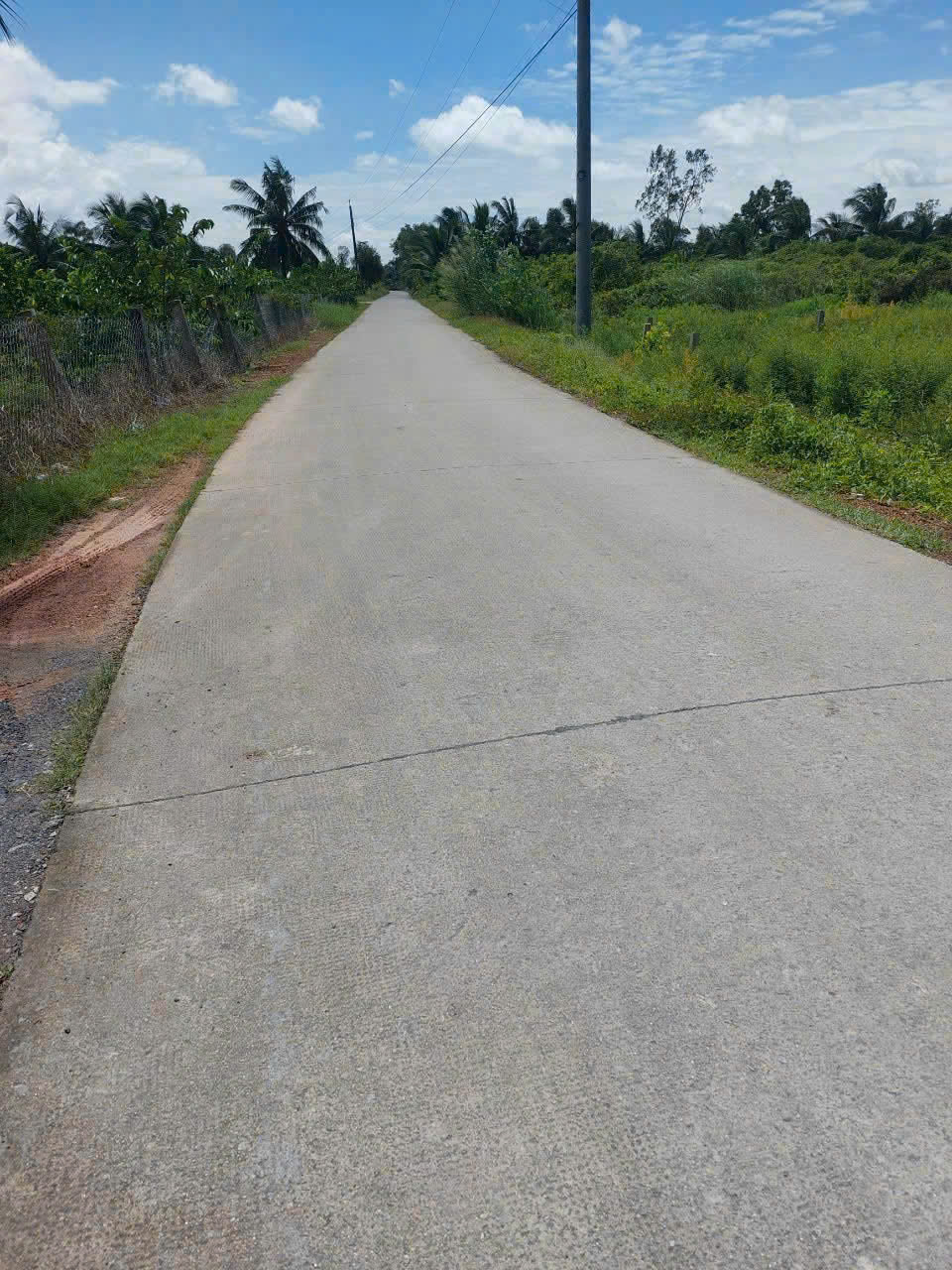 Bán đất thổ vườn Liên Ấp 5/6 , xã Bình Đức , Bến Lức tdt 1376m2 ( có 100m2 thổ) giá 2,65 tỷ 4