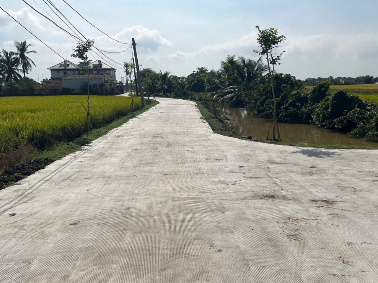 Bán nền thổ cư mt beton 4m Trần Thị Trâm , xã Tân Phước Tây , Tân Trụ dt 125m2 giá 525 triệu 2